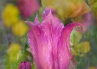 Flower Fantasy.jpg